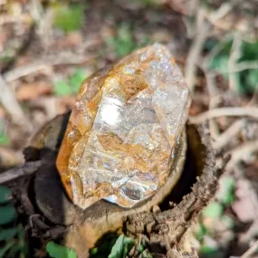 Large Golden Healer Herkimer Diamond  Quartz Crystal ~ Prosperous Healing- Ethically Sourced from New York- Tucson Treasure- Purchased Mine Direct